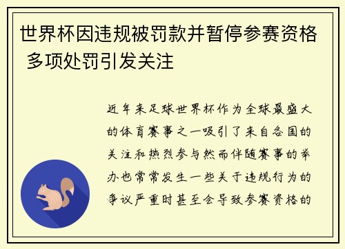 世界杯因违规被罚款并暂停参赛资格 多项处罚引发关注