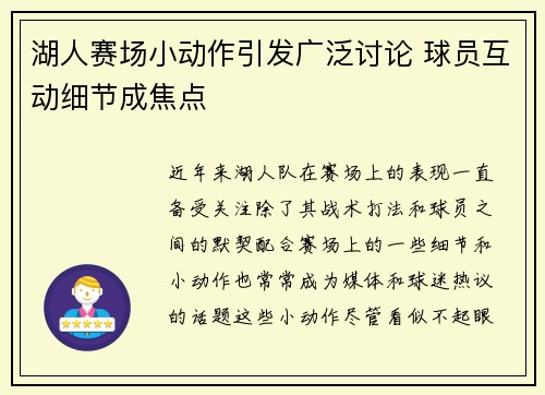 湖人赛场小动作引发广泛讨论 球员互动细节成焦点