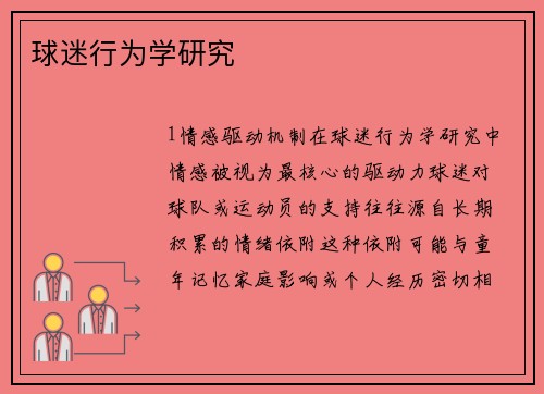 球迷行为学研究